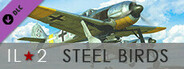 IL-2 Sturmovik: Steel Birds Campaign
