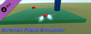 DLC Birchian Flight Simulator - Music Pack