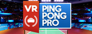 VR Ping Pong Pro