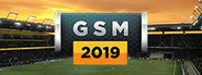 Global Soccer: A Management Game 2019