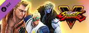 Street Fighter V - Nash Costumes Bundle
