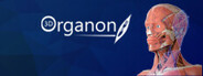 3D Organon