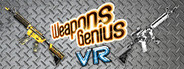 Weapons Genius VR