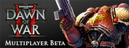 Warhammer® 40,000™: Dawn of War® II - BETA