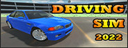 Driving Simulator 