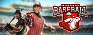 Astonishing Baseball Manager