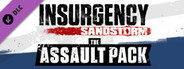 Insurgency: Sandstorm - The Assault Pack