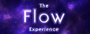 The Flow Experience