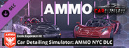Car Detailing Simulator - AMMO NYC DLC