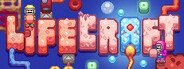 Lifecraft