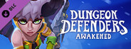 Dungeon Defenders: Awakened - Winter Defenderland