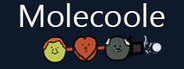 Molecoole Playtest