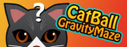 CatBallGravityMaze