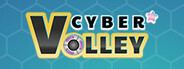 Cyber Volley