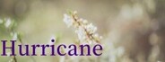 Hurricane