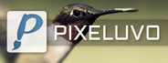 Pixeluvo