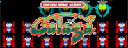 ARCADE GAME SERIES: GALAGA