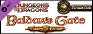 Fantasy Grounds - Baldur's Gate Enhanced Portrait Pack