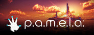 P.A.M.E.L.A.