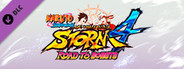 NARUTO STORM 4 : Road to Boruto Expansion