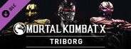 Triborg