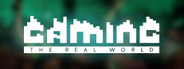 Gaming the Real World