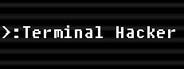 Terminal Hacker