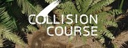 Collision Course