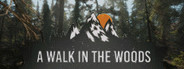 A Walk in the Woods
