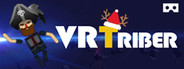 VR Triber