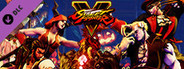 Street Fighter V - 2016 Halloween Costume Bundle