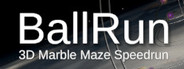 BallRun 3D Marble Maze Speedrun