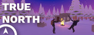 True North