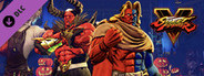 Street Fighter V - 2017 Halloween Costume Bundle