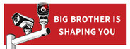 Big Brother Is Shaping You