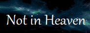 Not in Heaven