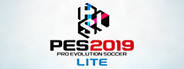 PRO EVOLUTION SOCCER 2019 LITE