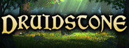 Druidstone: The Secret of the Menhir Forest
