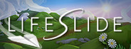 Lifeslide